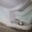 배로농원 이미지