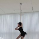 치즈폴댄스 이미지