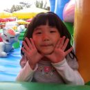 수성다듬이 이미지