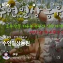 수연농원
