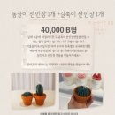 샤인플랜트 네이버블로그