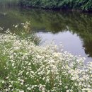 화동공원 이미지