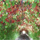 김가네농장 이미지