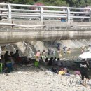 나무그늘 밑의 휴식 이미지