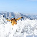 1월27일(화) 발왕산 눈꽃 트레킹 이미지