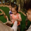 인태목장 이미지