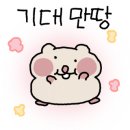 헤코샵 이미지