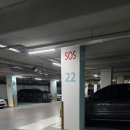 배스킨라빈스 아산탕정점 이미지