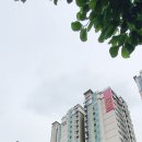 강남한방공인중개사사무소 이미지