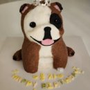 소담하개 이미지