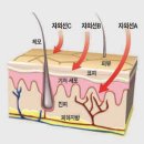 자외선/UVA, UVB, UVC/SPF지수와 PA지수/자외선차단제 사용방법//자외선 종류 및 파장별 특성//가시광선, 자외선, 적외선에 대한 이해 이미지