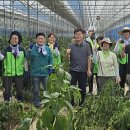 마현 1리 이미지