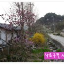 여난농장 이미지