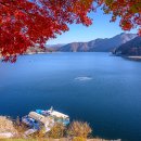 대일카랜드 이미지