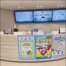 파란치과기공소 | 임플란트는 용인치과