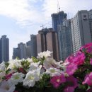 우신빌딩 이미지