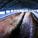 풍암제길 이미지