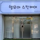 쉘모아스킨케어 네이버블로그