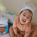 즐거운드라이세상 이미지