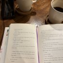 문발리헌책방골목