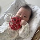 애플STUDIO | 100일 아기 장난감 추천 소근육 발달에 좋은 오볼 애플 치발기 후기 선물