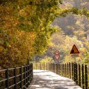 의암호순환 1 이미지