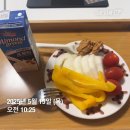 [다시어터의 삶] 250515 14시간26분 단식_대상포진4일차 쉬는게쉬는게아니야