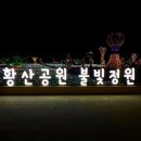 [경남 양산] 반짝이는 야경 명소 &#39;황산공원 불빛정원&#39; 방문 후기