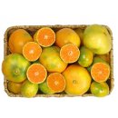 영숙이네 이미지