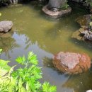 서귀포통나무집 이미지