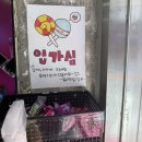 똥집의달인 - 21848 | 강촌 엘리시안 2일차] 김유정 레일바이크, 혜정닭갈비, JOC젤라또, 육림닭강정 완벽 내돈내산 솔직 후기!