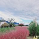 스튜디오161