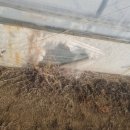 한운농장 이미지