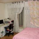 허브그린 이미지