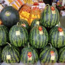 호남청과 이미지