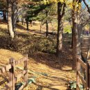 본오공원2길 이미지