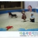 세광유치원 | 화성시 내에 위치한 유치원 List