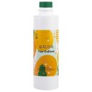 스위트 쇼핑하우