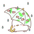 카페달콩 이미지