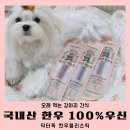 블리스독 이미지