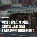 대전 탄방동 치아바타 맛집 올리브팜 베이커리 후기