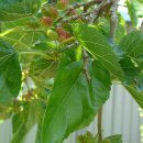 한울개발 이미지