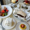 카페네이비 이미지