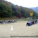 광교세무법인 - 서구 상무중앙로 101 | 광교세무법인