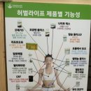 힐링온열매