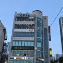 부산고양이까페나비정원 이미지