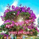 새희망 Daum카페