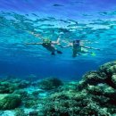 라인이엔지（ENG） 이미지