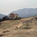 좋은빛목장 이미지