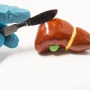 다르다면 이미지